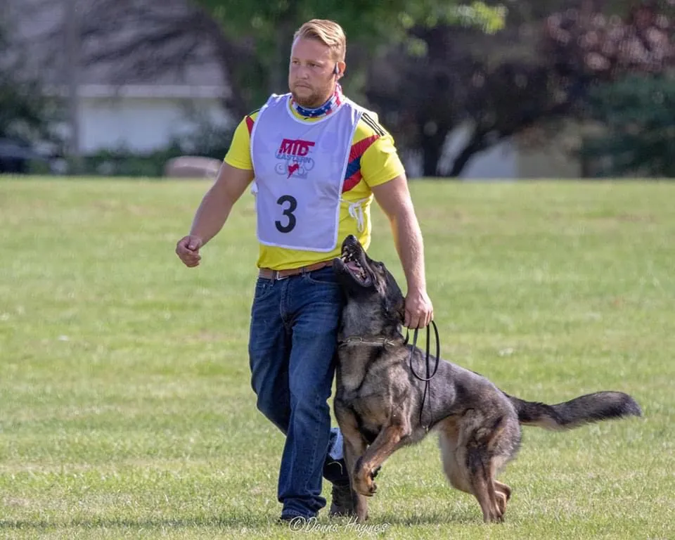 Focused heeling during an IGP protection sport trial
